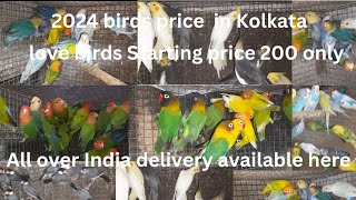 2024 birds price in kolkata || Love birds|| Cocktail || javas|| African.