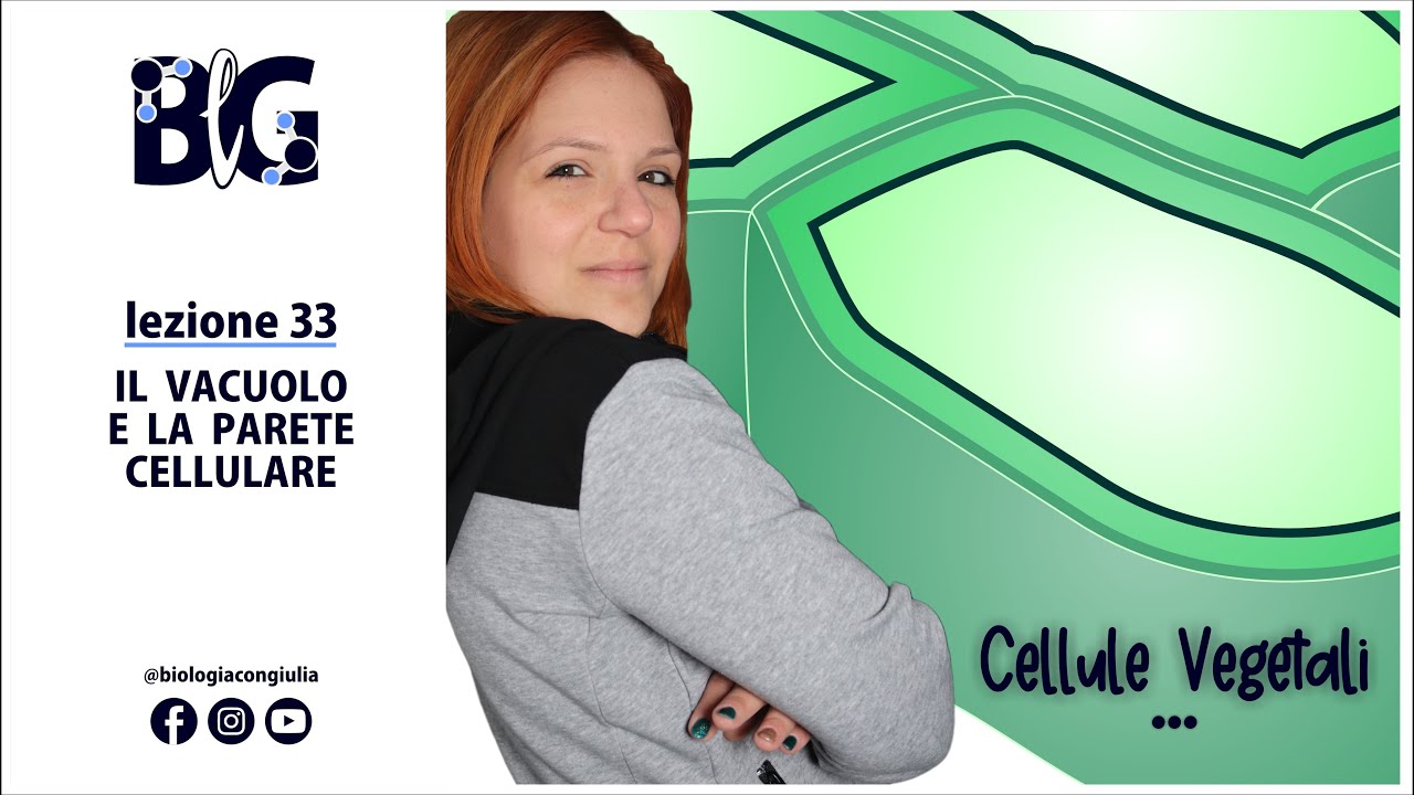 Il VACUOLO e la PARETE CELLULARE