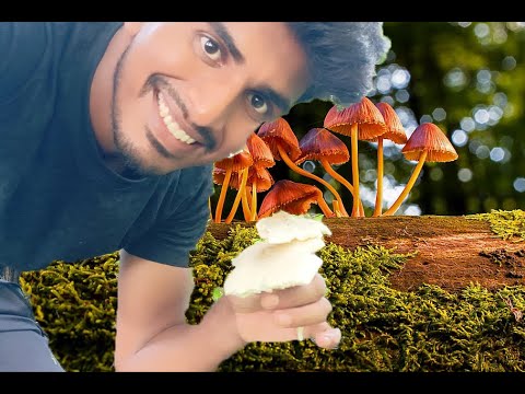 Mashroom ki kheti taiyar ho gyi || vlog 67 || defining me