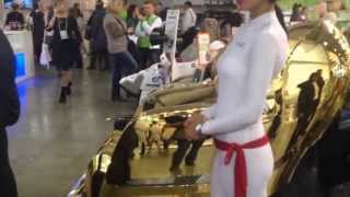 IMG 3682 IMG 3682