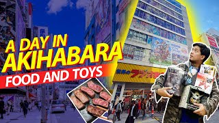 Akihabara Japan Guide! ULTIMATE DAY TOUR!!