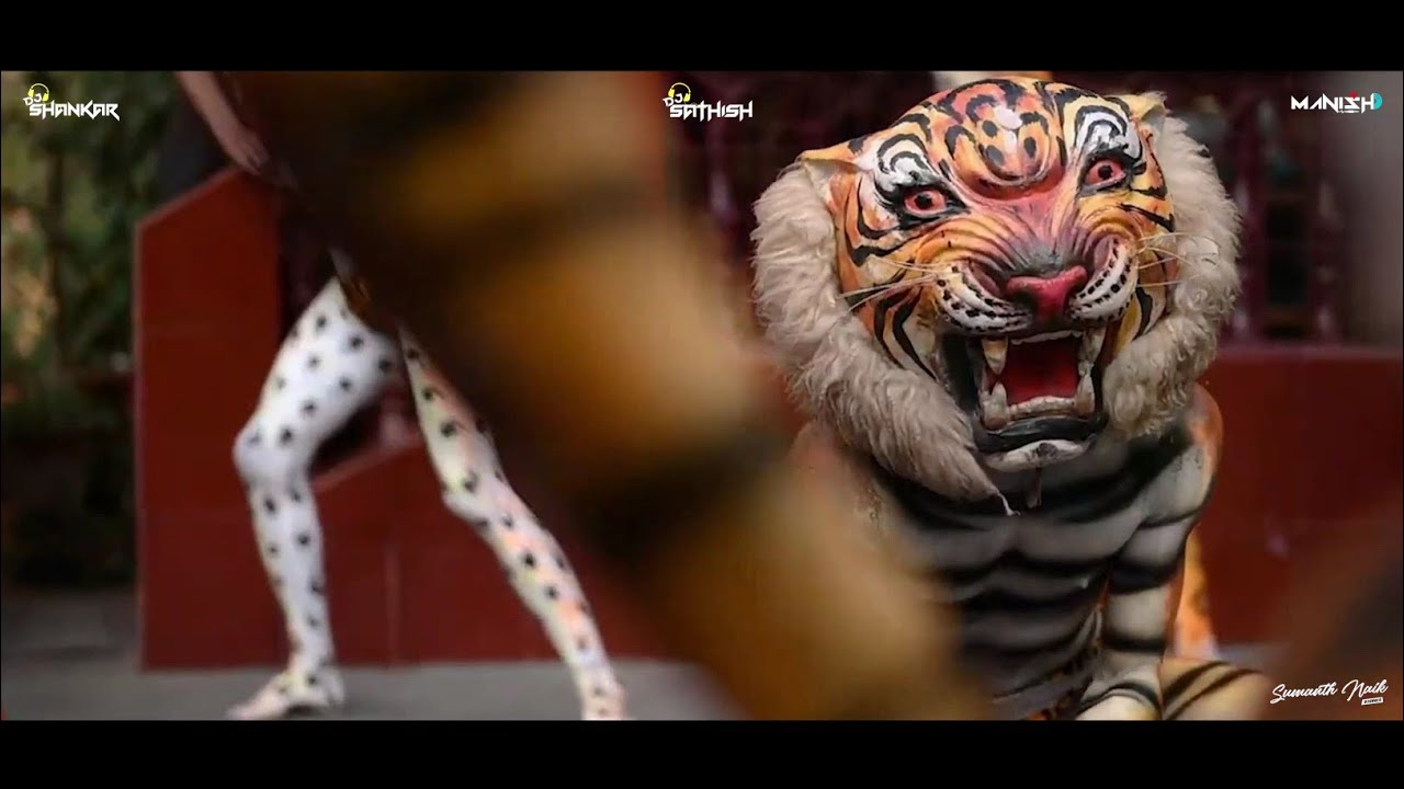 DEE DEE ADYANE PILI MIX | DJ MANISH X SHANKAR X SATHEESH | SUMANTH VISUALS