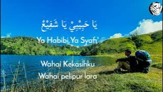 Kullul Qulub - Hasan Alaydrus | Lirik Terjemah Indonesia | كل القلوب الي الحبيب