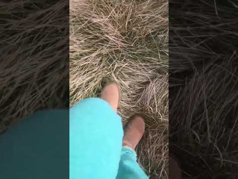 Uggs in the wilderness.  Come with me on a stroll by the creek.