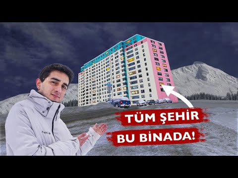 Video: Avustralya Ağacı Eğreltiotu Nakli Rehberi – Bir Ağaç Eğrelti Ağacını Taşıma Hakkında Bilgi Edinin