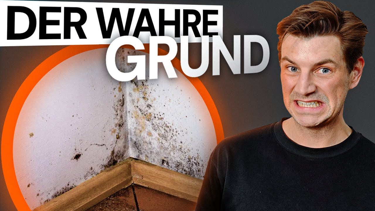 TOP 3 Ursachen für Schimmel nach der Sanierung - Energieberater erklärt