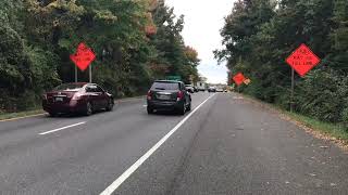 IMG 9551
