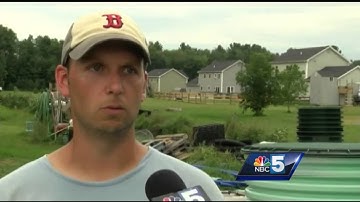 New pilot program to battle blue-green algae blooms in Lake Champlain