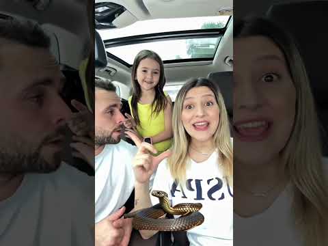 Şaşırdık mı ?