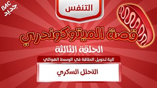 🫣ممنوع الدخول ❌الحلقة 3: التحلل السكري | بكالوريا