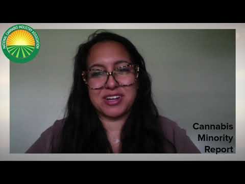 Cannabis Minority Report | Margeaux Bruner