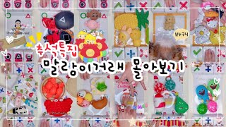 🔥추석특집🔥신상 말랑이 팝잇 거래🎵 22개 모음 | collection of 22 fidget toys trading [ 말랑이랑 ] screenshot 4