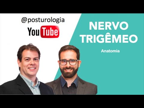 Vídeo: Nervo Trigêmeo: Função E Anatomia, Diagrama, Testes, Causas De Dor