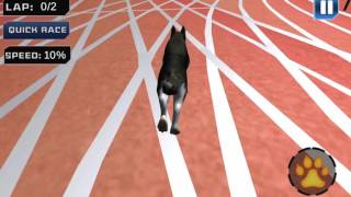 Dog Crazy Race Simulator - Overview, Android GamePlay HD screenshot 3