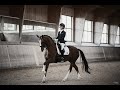 Swim || Equestrian Music Video