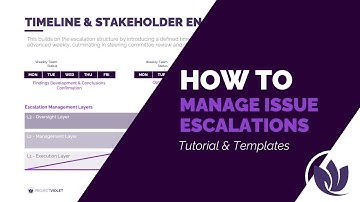 Escalation Management and Driving Issue Resolution on Projects