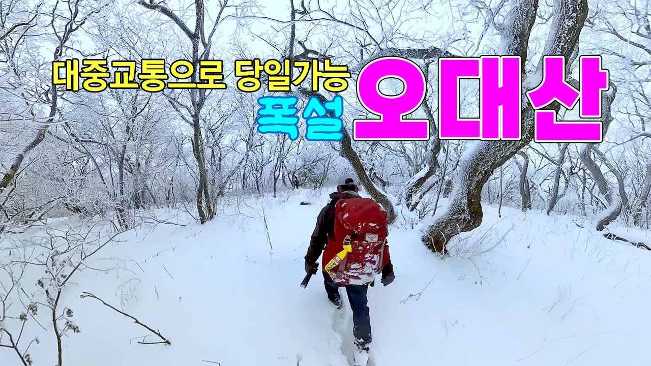 대중교통으로 만나보는 오대산 설경 / 오대산의 아름다운 설경을 담았습니다