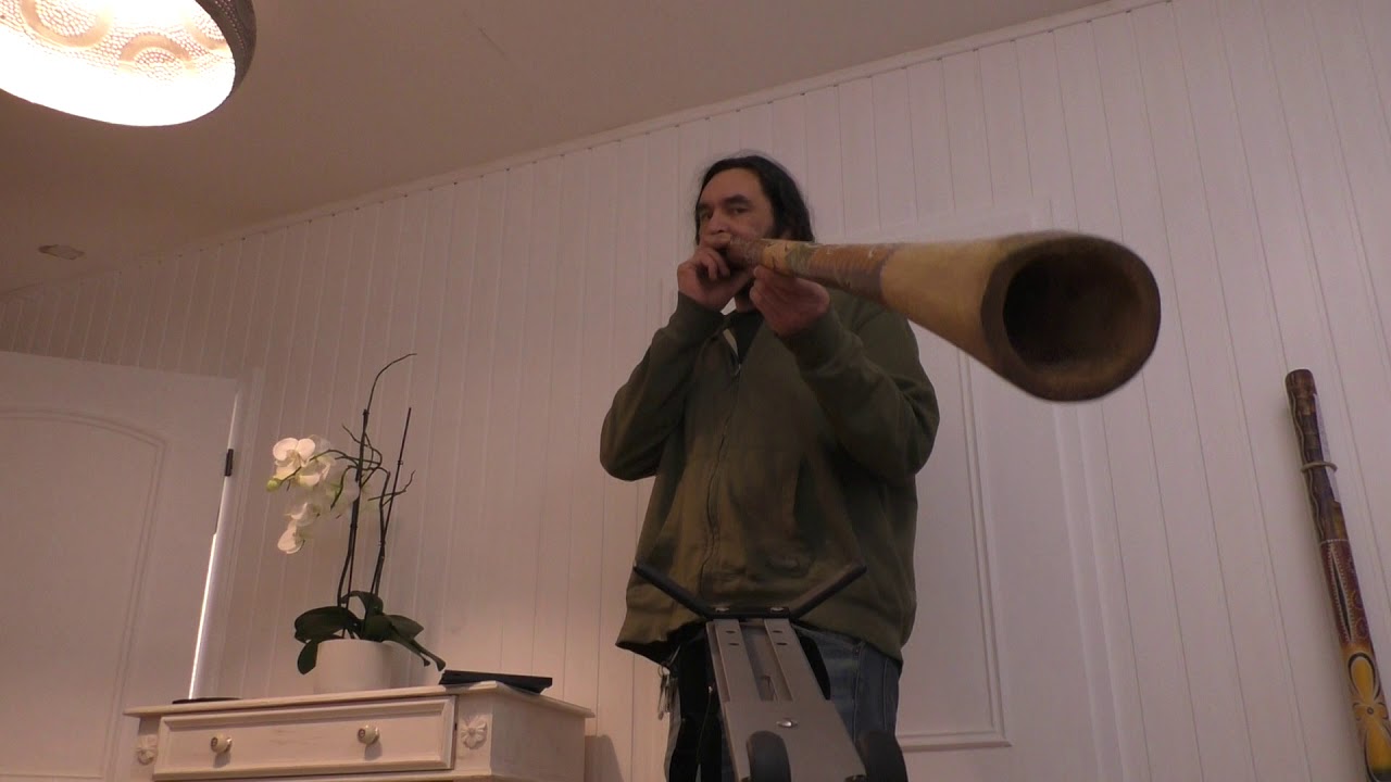 Didgeridoo TDL13