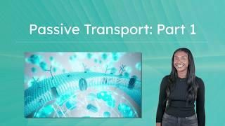 Passive Transport: Part 1 - Diffusion and Osmosis