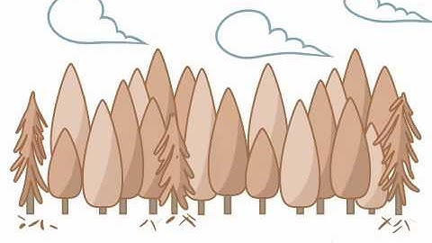 Medical Animation: What is Genomics?