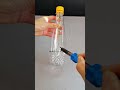 Plastic bottles make small succulent flower pots #Empty Bottle Uses #Handmade #QuickGrowthPlan