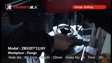 TARWIT multi-spindle drilling machine ZB5207X12 for flange