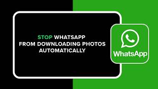 How to Stop WhatsApp from Downloading Photos Automatically screenshot 4