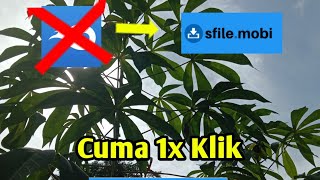 Cara upload file di link SFILE MOBI dengan mudah