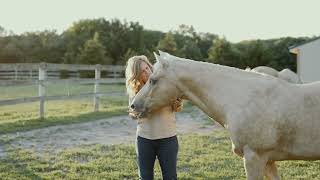 Intro to Equine Therapy at A New Day Family Counseling, Plainfield, IL