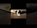 Jets Edit #jets #pilot #aircraft #trending #edit #youtubeshorts #viral #viralvideo