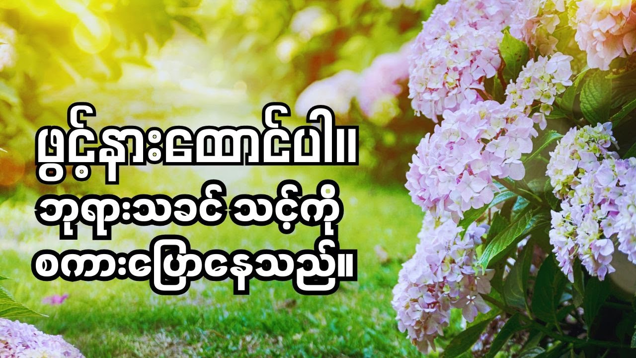 ဘဝအဓိပ္ပါယ်မဲ့နေတဲ့အချိန် ဘုရားသခင်ကို ယုံကြည်ကိုးစားရန် ခွန်အားပေးသည့် သမ္မာကျမ်းစာပိုဒ်များ။