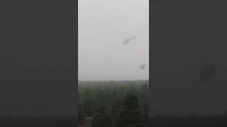 Skillful Helicopter Pilot Harvests Trees