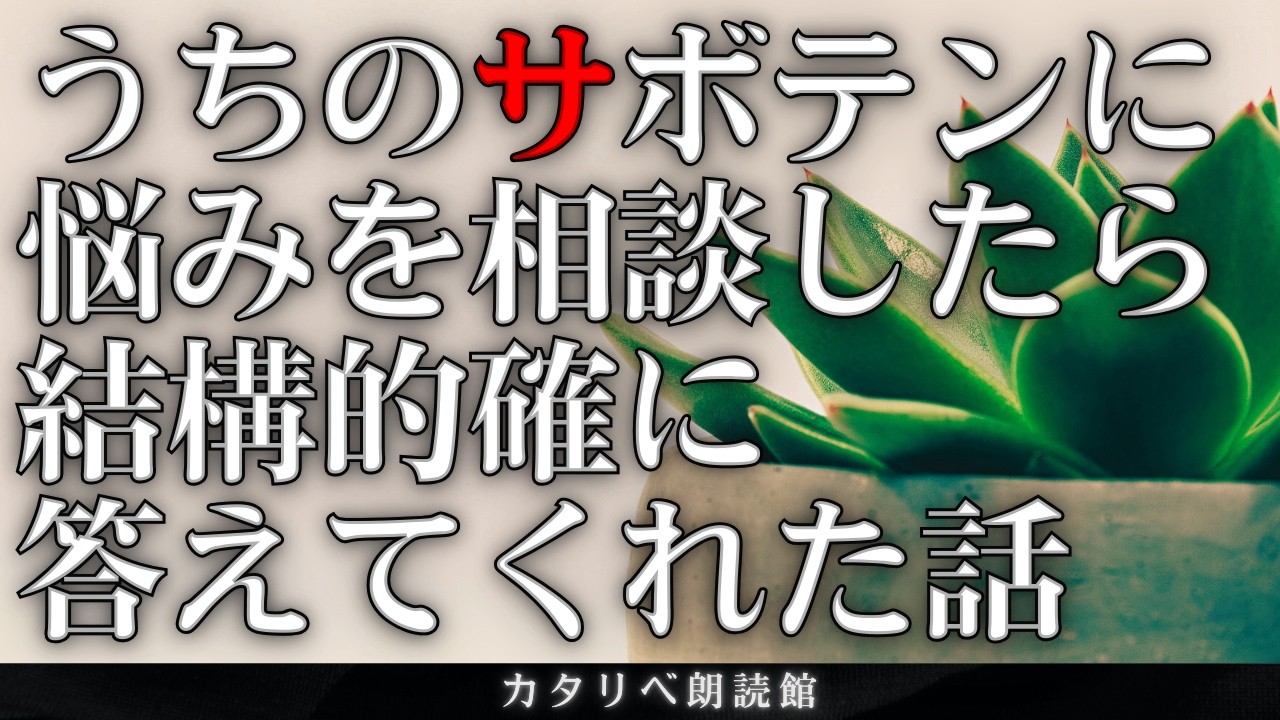 【雨音朗読】サボテンが悩み相談にのってくれた不思議な話