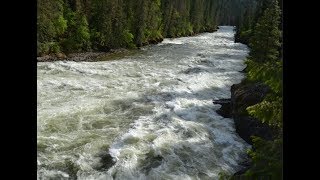 Selway River + Moose Creek Packraft 20,000 CFS May 2018