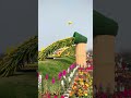 #shortsvideo प्रकृति का सबसे सुंदर तोहफा – फूल। 🌷#flowers