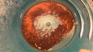 Is it Fools Gold in my pan? Gold Water Iron Pyrite