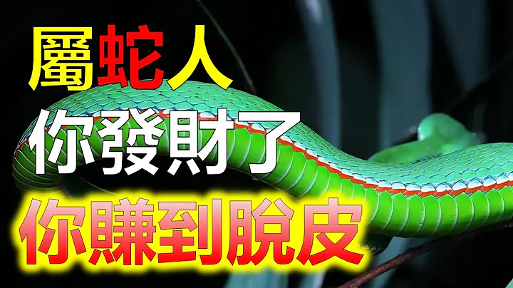 2024生肖運勢，生肖蛇，今天是屬蛇人的大日子！在古老的中國文化中，十二生肖象徵著時間的輪回其中，屬蛇人是其中之一，它代表著智慧、屬蛇人神秘和魅力。為生肖蛇的朋友們慶祝，因為這一天屬蛇人一生中的大日子 - 天天要聞