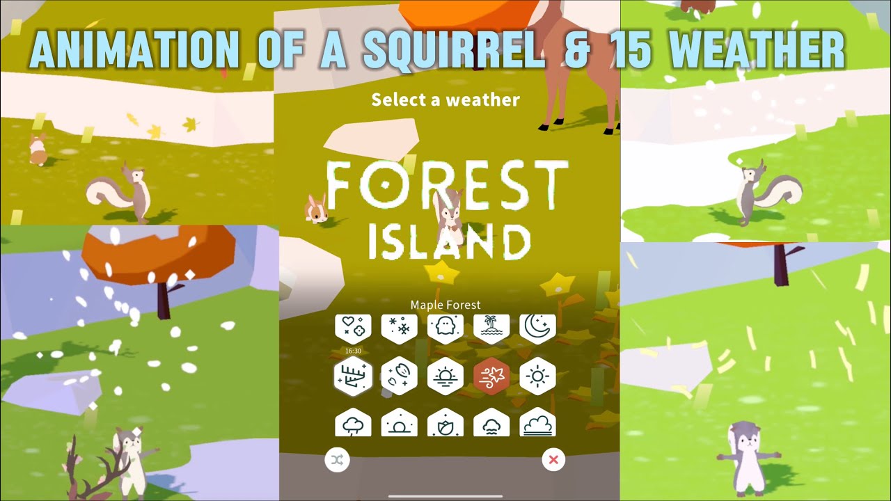 🐿️Animation of a squirrel & 15 weather ⛅️| Forest island 🏝️