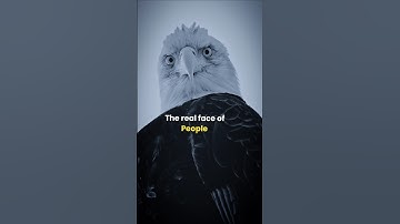 Sigma Rule 🔥 the real face of people 🔥#motivation #shorts #motivationalquotes #sigma