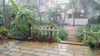A rainy day in Thiruvananthapuram.20.05.2024