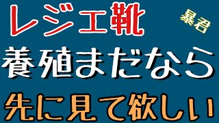 101【ディスガイアrpg 】手持ちのレア靴をレジェンドにする前に見て欲しい動画