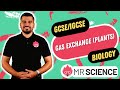 Gas exchange in plants  igcse biology  gcse biology in 4k  mr science