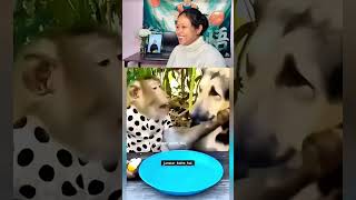 Kaan Ukhad Jayega Be Mera 😂🐶🐒 #funnyanimals #animalcomedy #dogfunny #viralshorts #desidubbing
