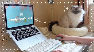 Study with me and my kitty ~ chill lo-fi study vlog, when you need to be productive ✍️