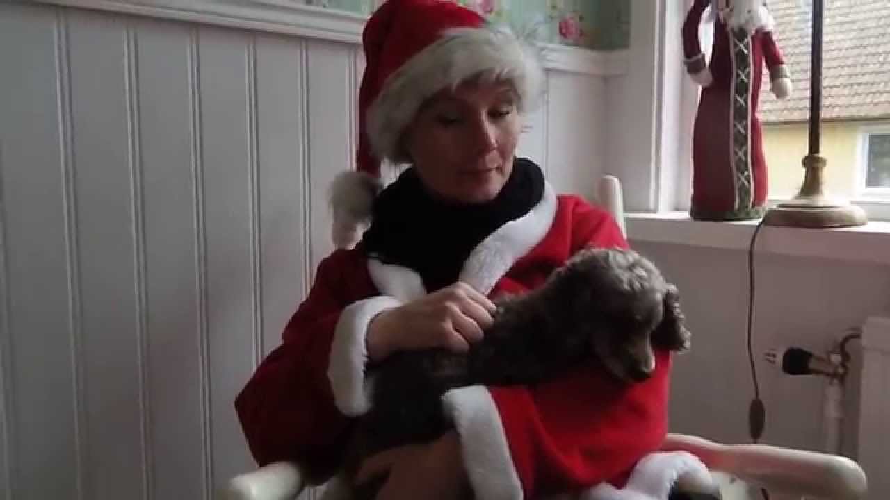 Minion Advent Calendar Funny Funny 1st December YouTube minion-advent-calendar-funny-funny-1st-december-youtube