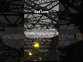 Sad Love Song #brokenheart #song #love #music #sadshorts