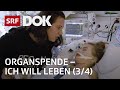 Organspende – Zwischen Hoffen und Bangen einer Transplantation (3/4) | Doku | SRF Dok