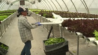 Urban Farming Cultivates Food Security in Acres Homes