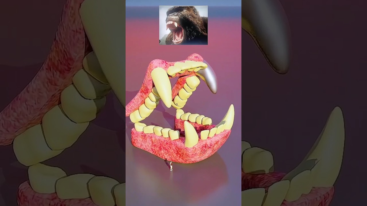 Biggest Teeth Comparison 
