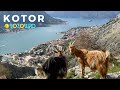 Kotor, Montenegro ~ Old Town | Bay Of Kotor | Ladder of Kotor